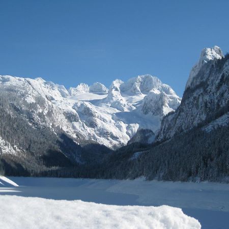 Appartement Alpenblick غوساو المظهر الخارجي الصورة