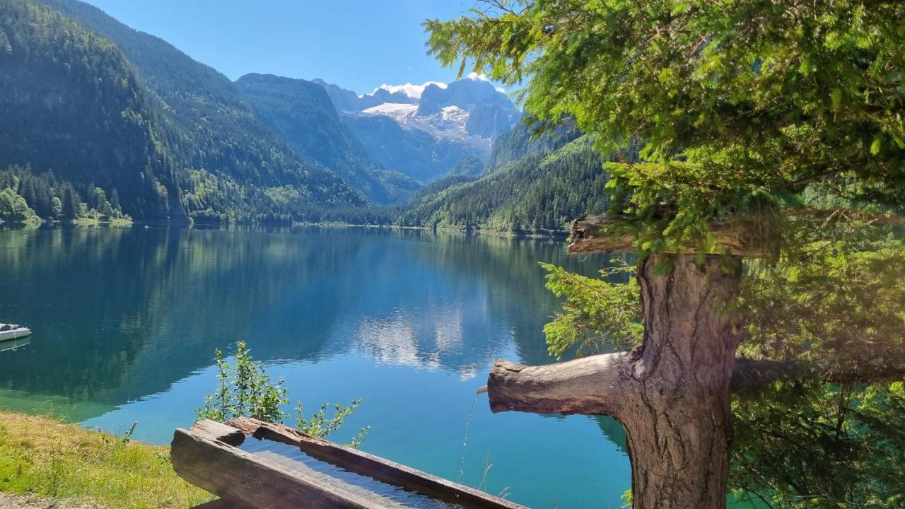 Appartement Alpenblick غوساو المظهر الخارجي الصورة